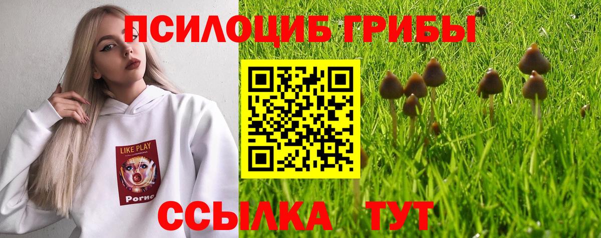 Псилоцибиновые грибы Magic Shrooms Кропоткин