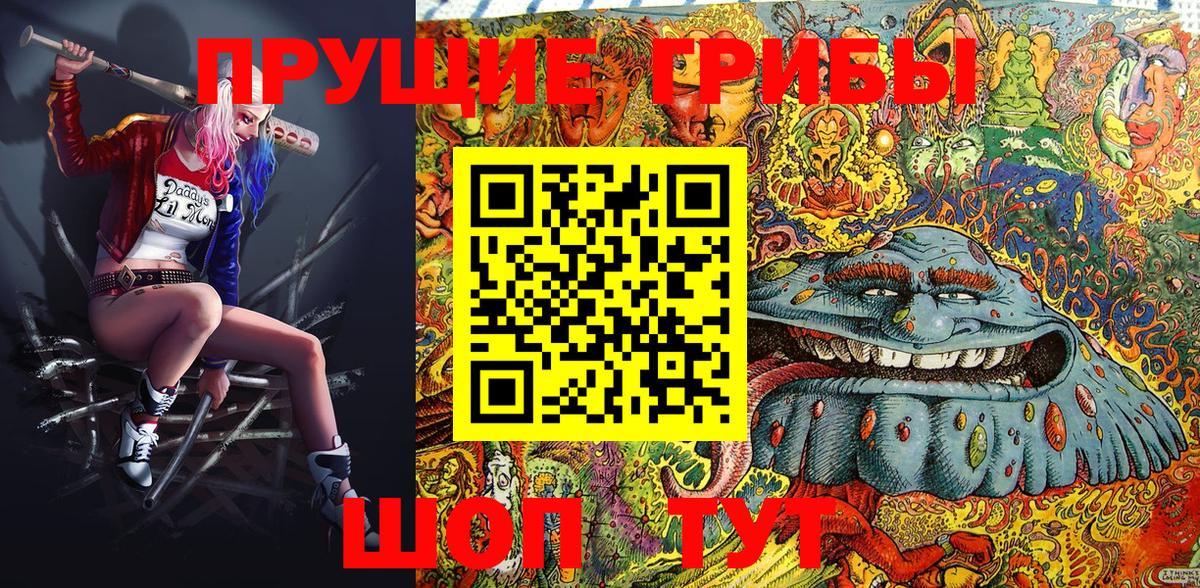 Кропоткин  Галлюциногенные грибы Psilocybine cubensis  Вход с VPN  Галлюциногенные грибы Cubensis 