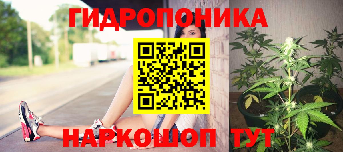 Каннабис планчик Кропоткин